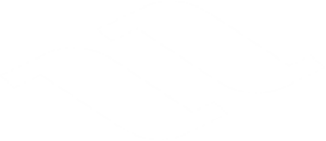 Icono de Navantia en blanco